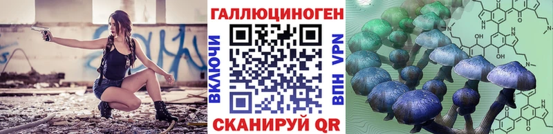 сайты даркнета наркотические препараты  сколько стоит  Курчалой  Галлюциногенные грибы Psilocybine cubensis 